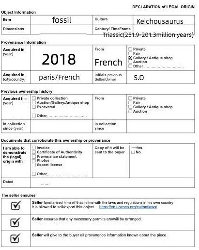Reptilfossil: Keichousaurus – Trias - Tierfossil - Keichousaurus - 19 cm (Ohne mindestpreis) #1.0