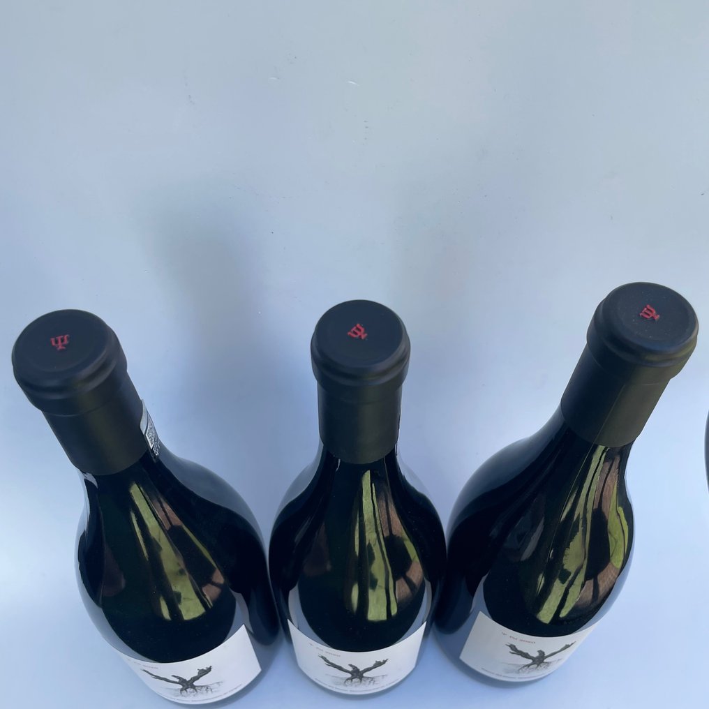 2020 Dominio de Pingus, 'Psi' - Ribera del Duero - 3 Bottles (0.75L) #1.0