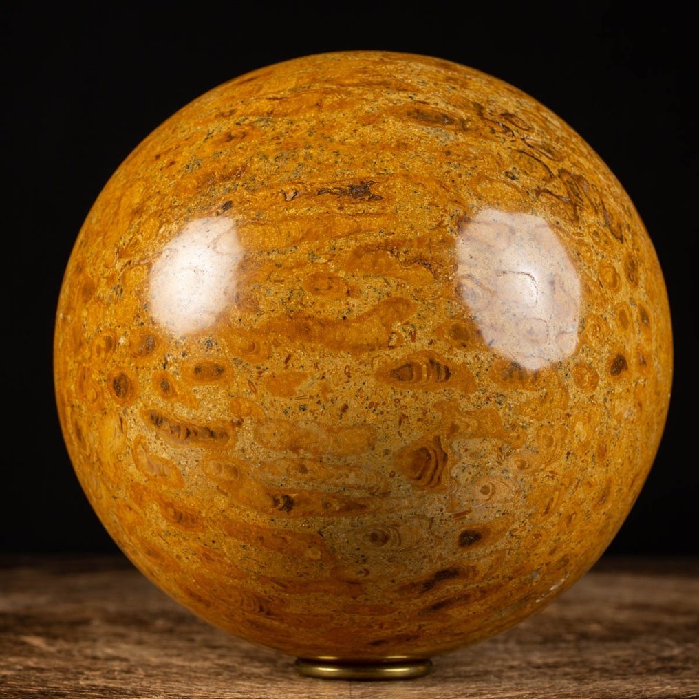 Exclusive Fossil Coral Sphere - Cretaceous - Fossil Madrepora - Mahajanga Formation - Height: 170 mm - Width: 170 mm- 7005 g #2.1