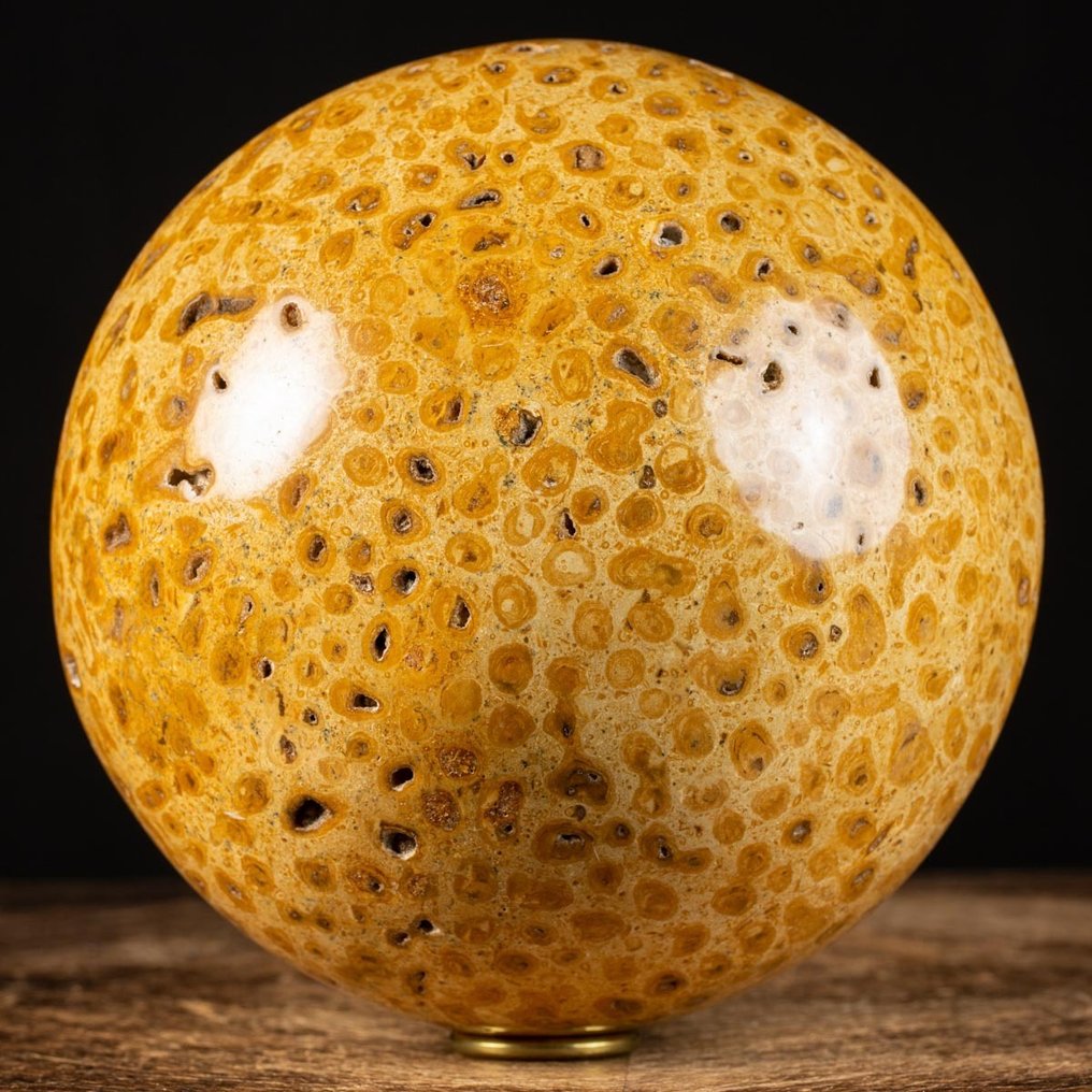 An Exclusive Large Sphere - Exclusive Large Fossil Coral Sphere - Skeleton - Jurassic Fossil Coral - 20 cm - 20 cm - 20 cm #1.2