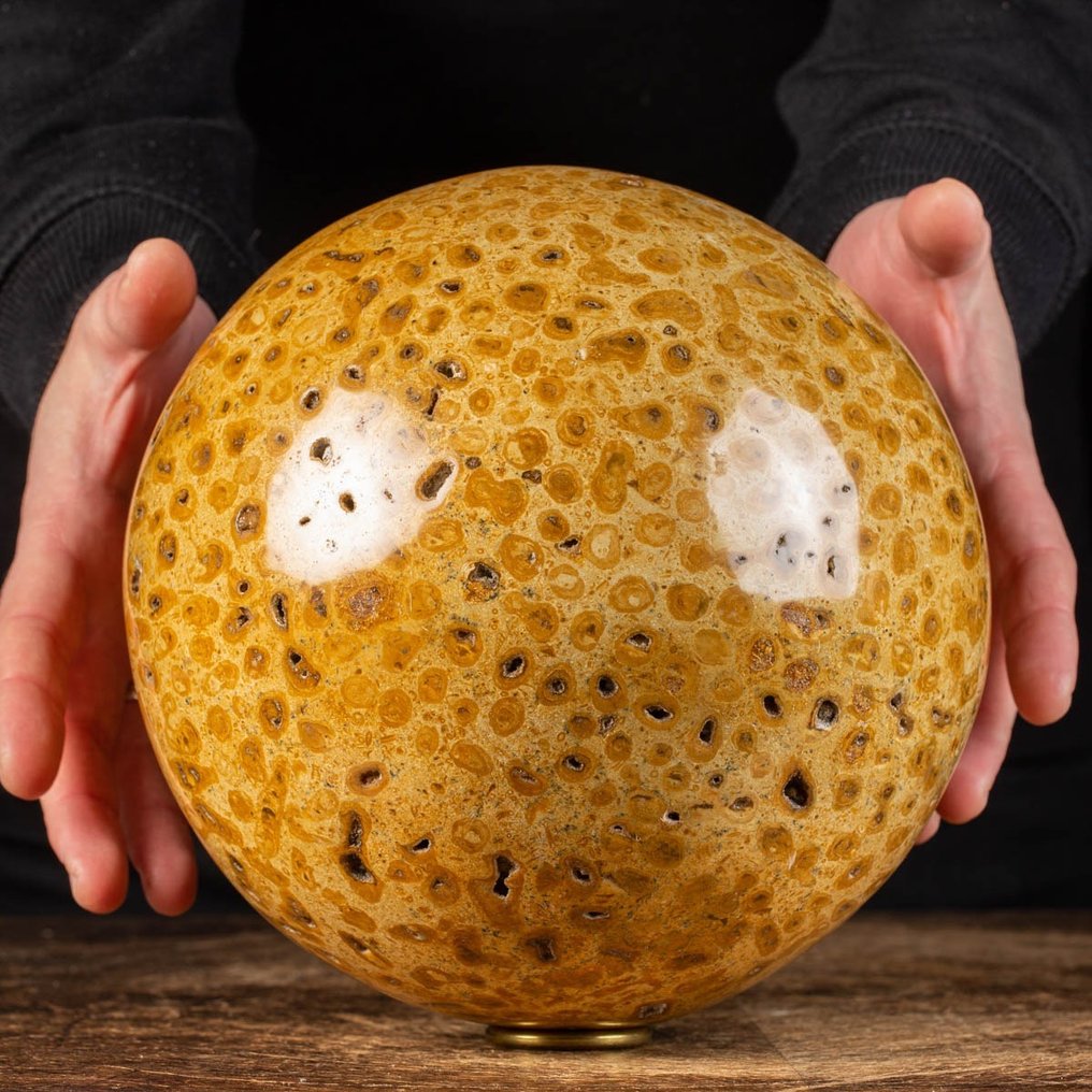 An Exclusive Large Sphere - Exclusive Large Fossil Coral Sphere - Skeleton - Jurassic Fossil Coral - 20 cm - 20 cm - 20 cm #1.1