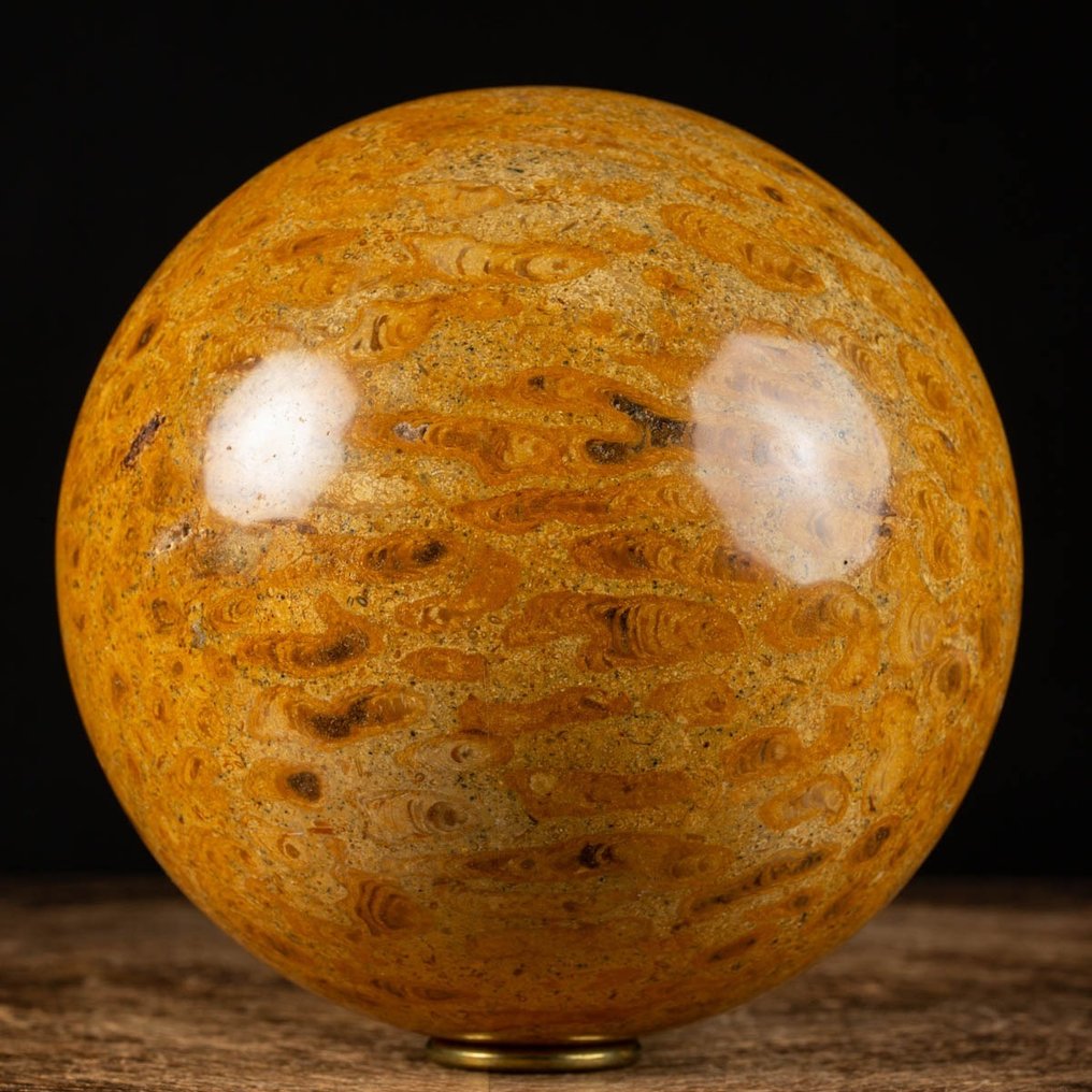 Exclusive Fossil Coral Sphere - Cretaceous - Fossil Madrepora - Mahajanga Formation - Height: 170 mm - Width: 170 mm- 7005 g #1.2