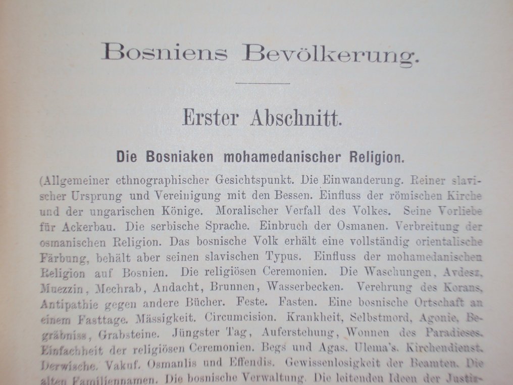 Adolf Strausz - Bosnien, Land und Leute - 1882 #3.2