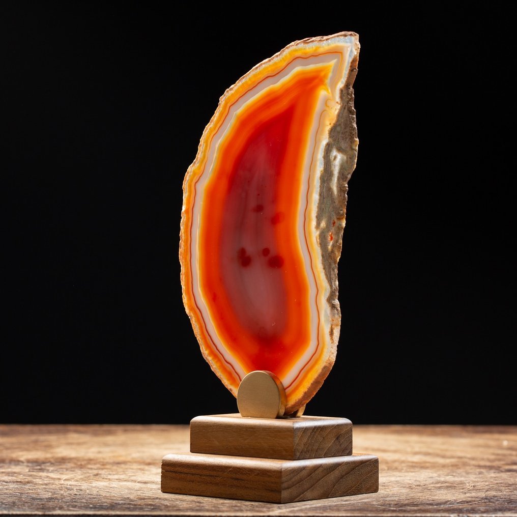 Φλόγα Κόκκινου Πάθους - Εξαιρετικά Σπάνιο Φυσικό Κόκκινο Αγκάτη - Βάση από Ξύλο και Μπρούντζο. - Ύψος: 240 mm - Πλάτος: 120 mm- 459 g #1.0
