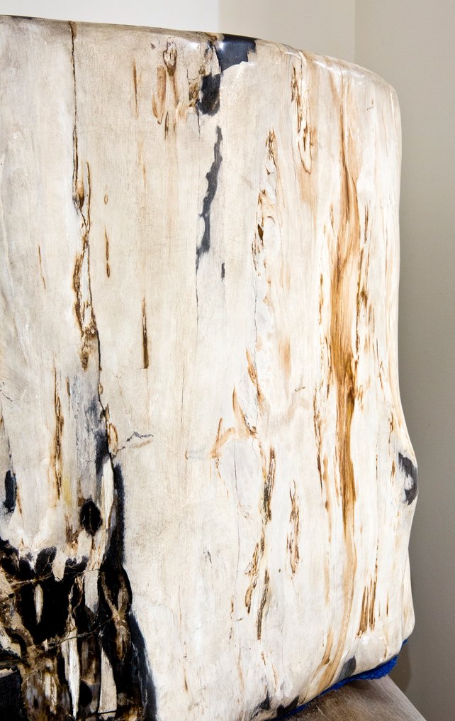 Palmen-Xylopal - Versteinertes Holz - Dipterocarpus sp. - 80 cm #3.1