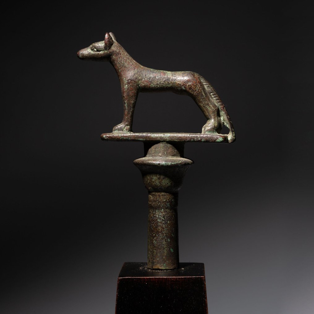 Oldtidens Egypten Bronze God Wepwawet - Upuaut scepterterminal. Sen periode, 626 - 323 f.Kr. 17,5 cm H. #1.2