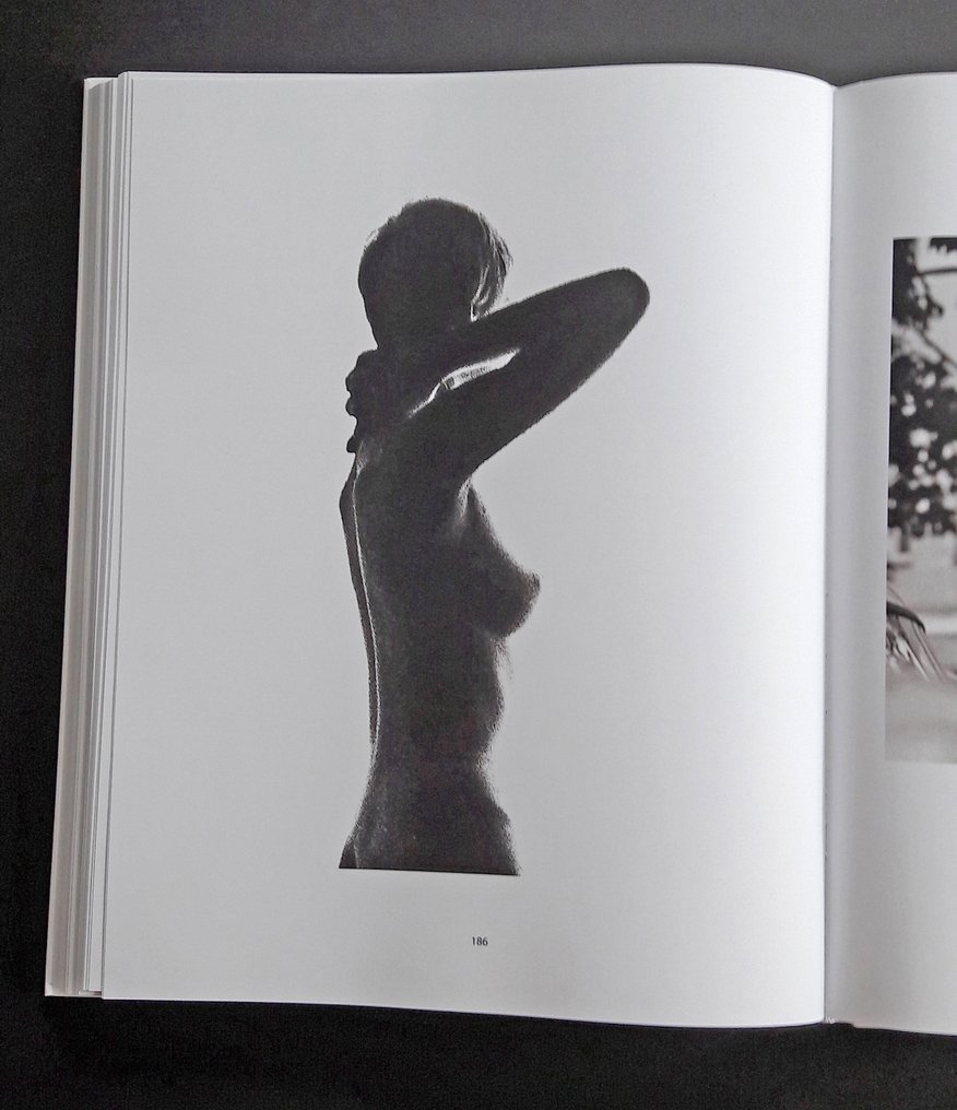 Hubertus Hierl (1940) - Aktstudie (1963) #4.3