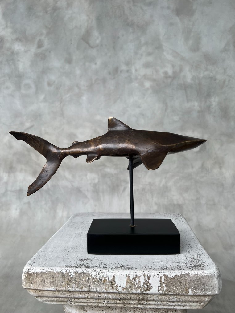 Γλυπτό, NO RESERVE PRICE - Bronze Polished Great White Shark - Carcharodon Carcharias - 20 cm - Μπρούντζος #4.3