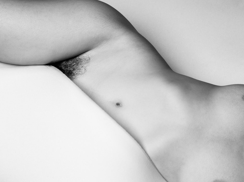 Nata Chebotareva (1972-) - Hide and Seek #1.0