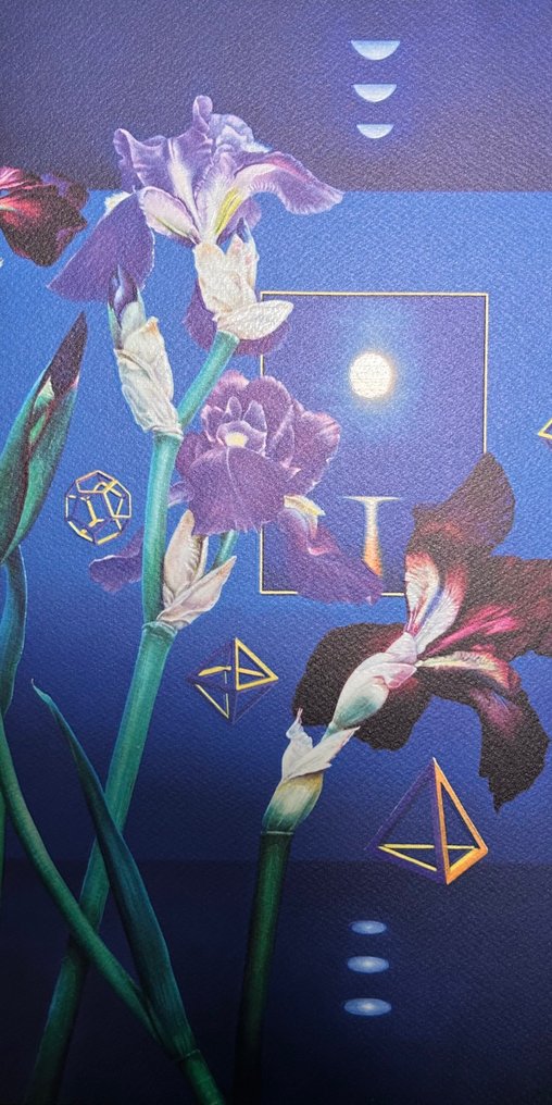 Antonio Nunziante (1956) - Danzano i fiori 70x50 cm #4.3