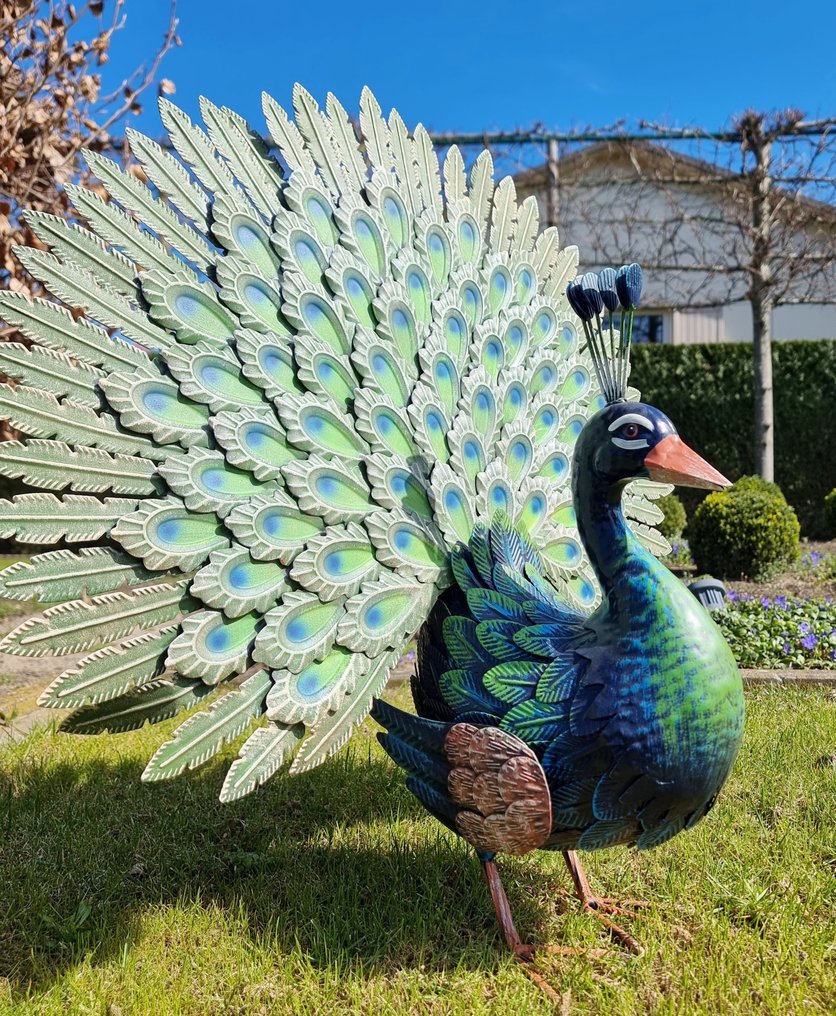 雕像 - Peacock - 铁, 金属 #4.3