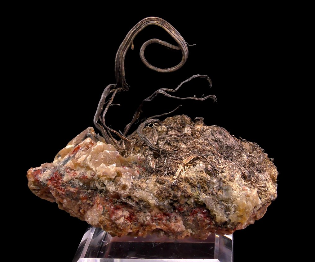 Silberlocke auf Calcit „Der Fischer“ - Hongda-Mine, Shanxi, China - Höhe: 8.5 cm - Breite: 7 cm- 174 g #1.1