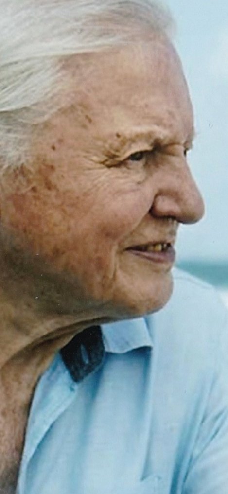 BBC & Documentary Legend - Signed by Sir David Attenborough #2.2
