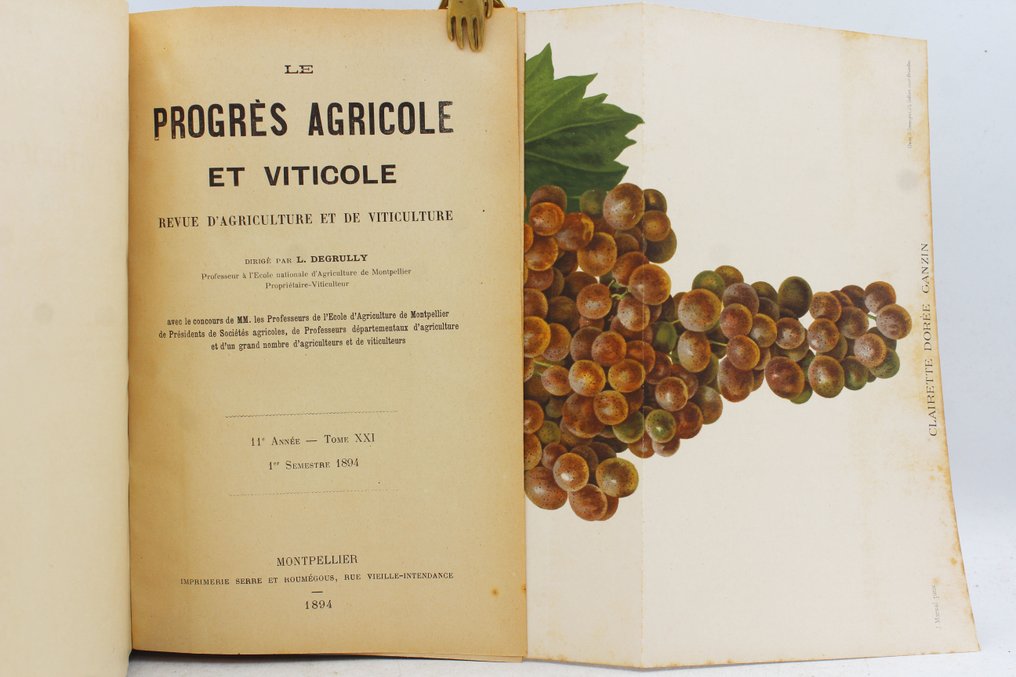L. Degrully - Le Progrès Agricole et Viticole - 1894 #2.1
