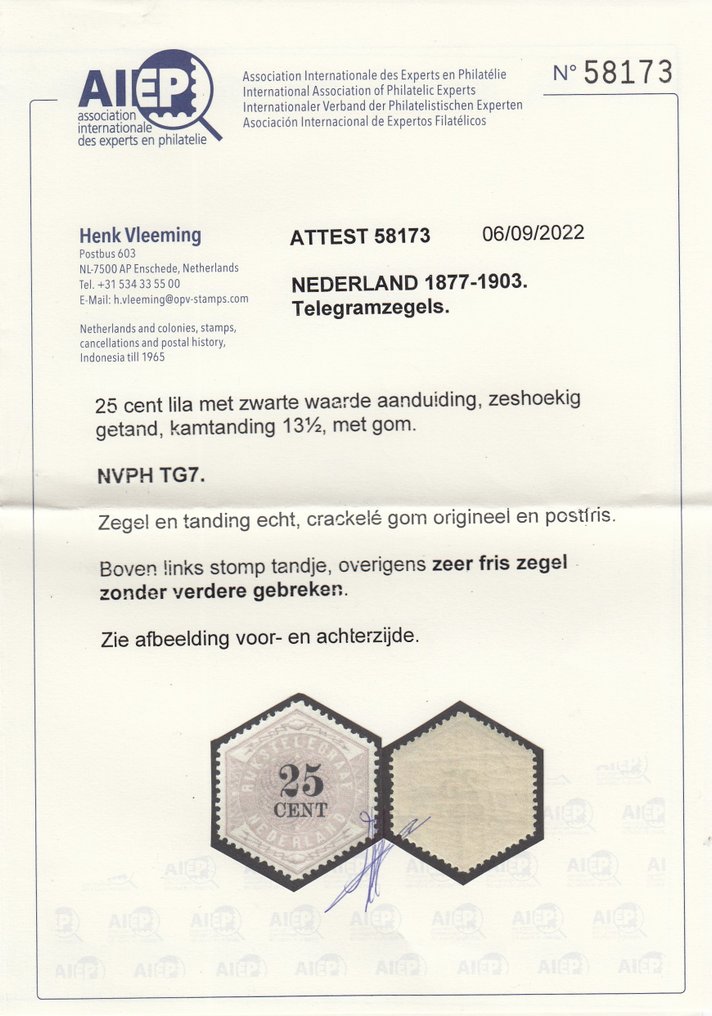 荷兰 1903 - Telegram标志 - NVPH TG7 #2.1