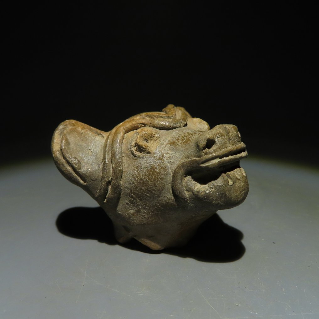 Tumaco-Tolita Terracotta Tierkopf. 200 v. Chr. – 400 n. Chr. 4 cm hoch. Spanische Importlizenz. #2.1
