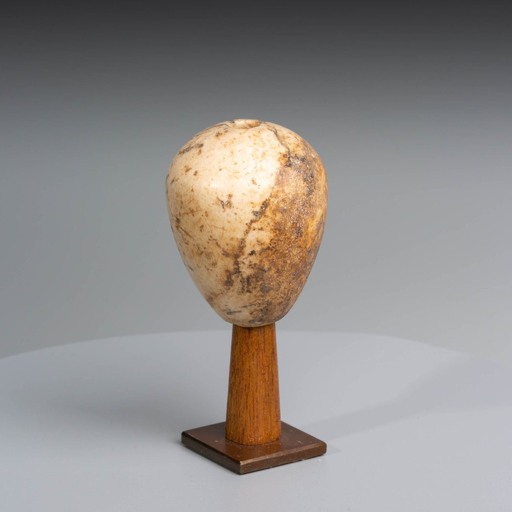 Ancient Egyptian Stone Macehead. P. Predynastic, Nagada II – III, 3600 – 3100 BC. 7.5 cm H. #2.1