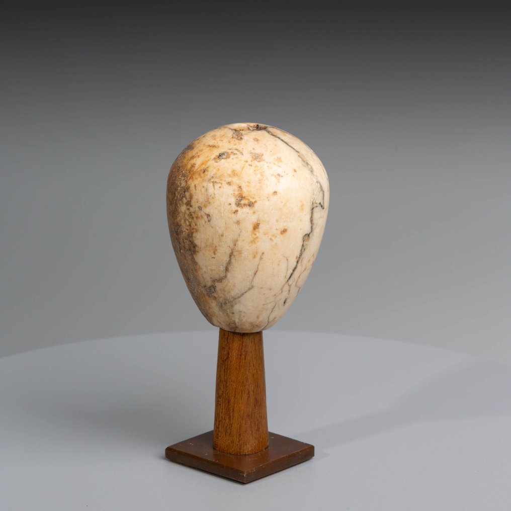 Ancient Egyptian Stone Macehead. P. Predynastic, Nagada II – III, 3600 – 3100 BC. 7.5 cm H. #4.3