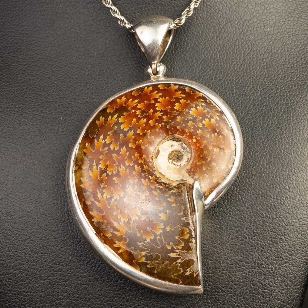 Ammonite - Silver pendant - Aioloceras (Cleoniceras) sp. - 67×40×13 mm #1.1