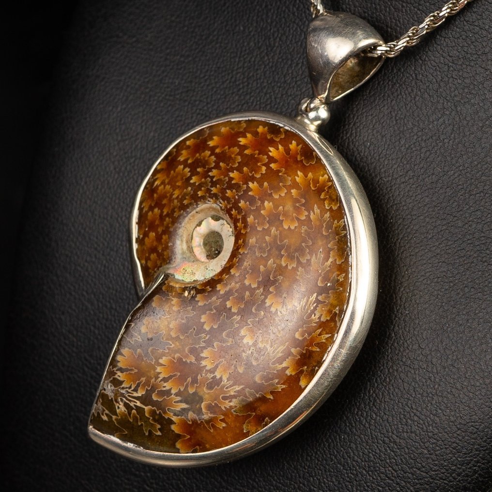 Ammonite - Ciondolo in argento - Aioloceras (Cleoniceras) sp. - 67×40×13 mm #2.1