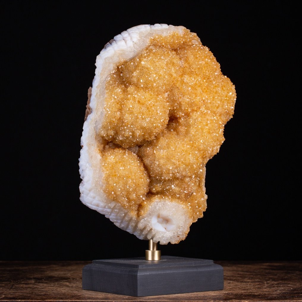 独家黄水晶石英 - 球状晶簇 - 稀有标本 - 精美木质与铜制手工底座 - 高度: 340 mm - 宽度: 200 mm- 8.15 kg #4.3