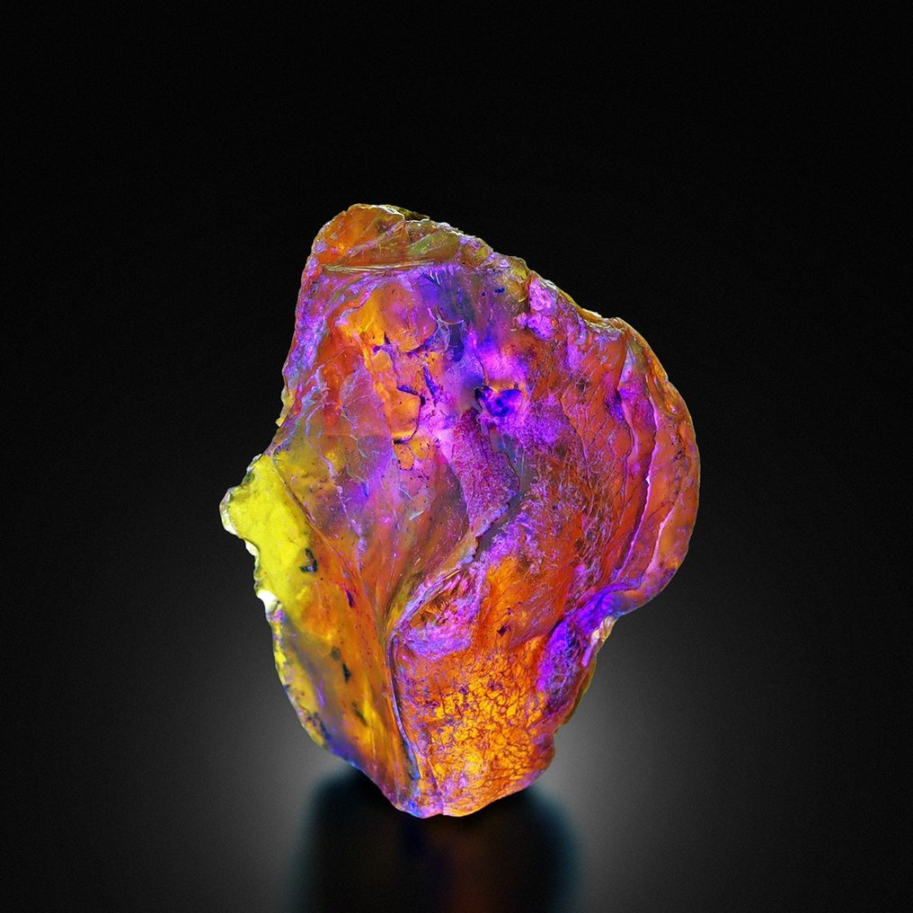 Μοναδικό!!! GEM. Μπλε  Amber  Opal!!! Δομινικανή Δημοκρατία. Δείγμα - Ύψος: 5.5 cm - Πλάτος: 3.5 cm- 26.7 g #1.0