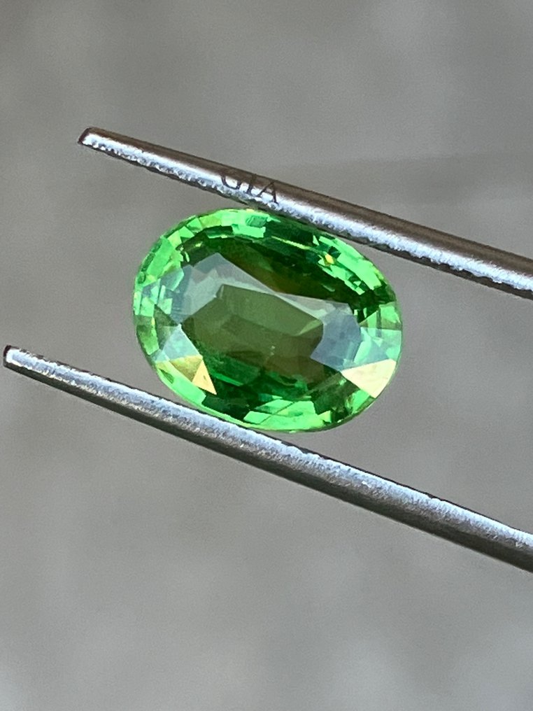 1 pcs  绿色 沙弗莱石  - 3.04 ct - 美国宝石研究院（GIA） #3.1
