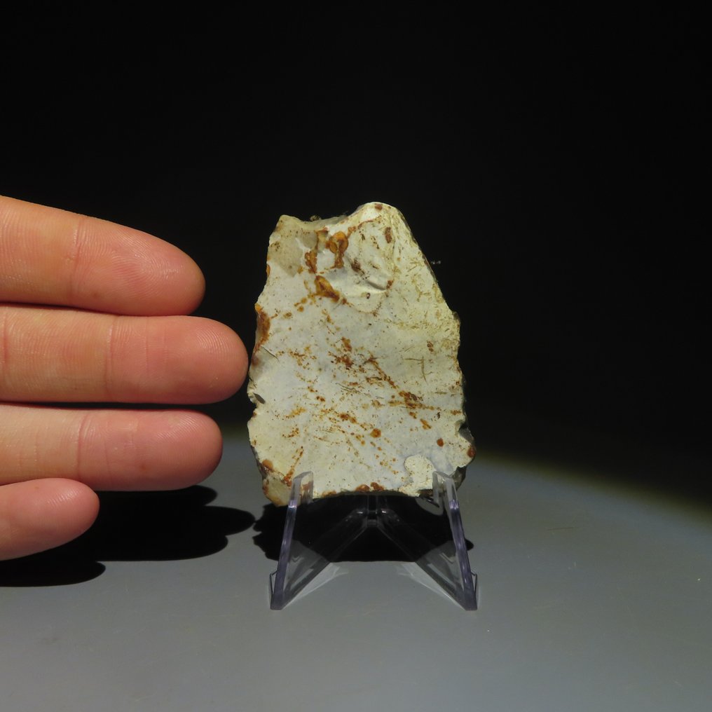 新石器时代 燧石 燧石工具。米歇尔斯堡文化（发现于比利时蒙斯的斯皮恩斯）。新石器时代，大约  (没有保留价) #4.3