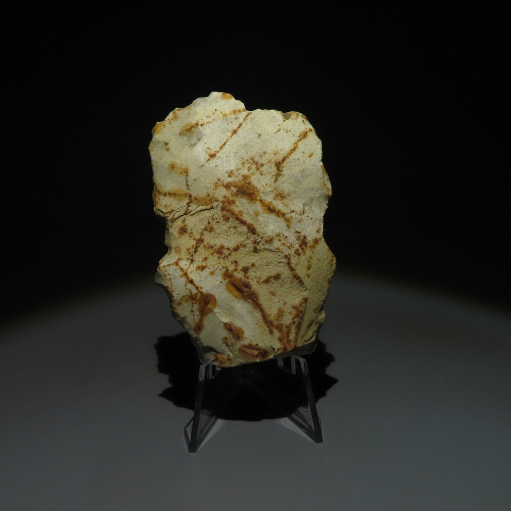 新石器时代 燧石 新石器时代燧石工具。米歇尔斯贝格文化（在比利时蒙斯的斯皮恩斯发现）。新石器时代  (没有保留价) #2.1