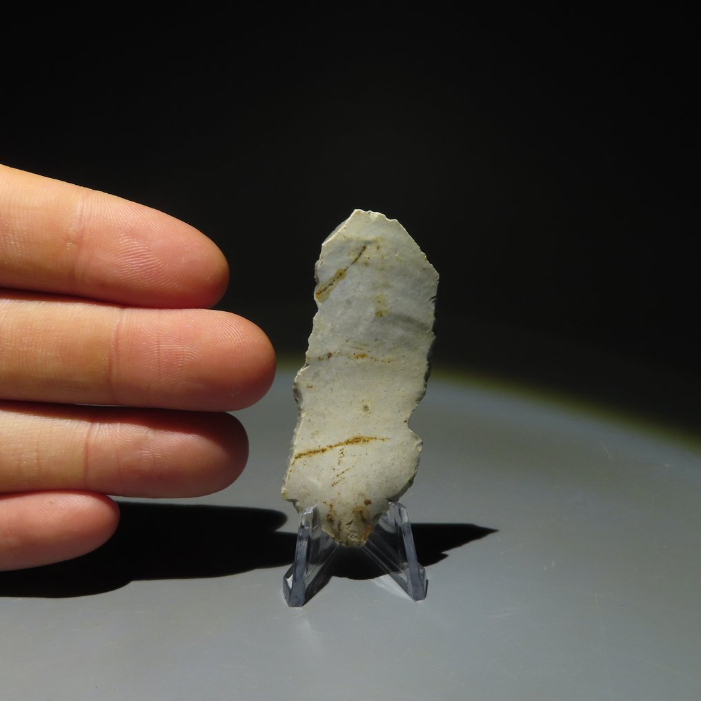 新石器時代 燧石 新石器时代燧石工具。米歇尔斯贝格文化（在比利时蒙斯的斯皮恩斯发现）。新石器时代  (沒有保留價) #4.3