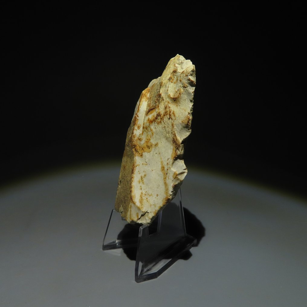 新石器时代 燧石 新石器时代燧石工具。米歇尔斯贝格文化（在比利时蒙斯的斯皮恩斯发现）。新石器时代  (没有保留价) #1.0