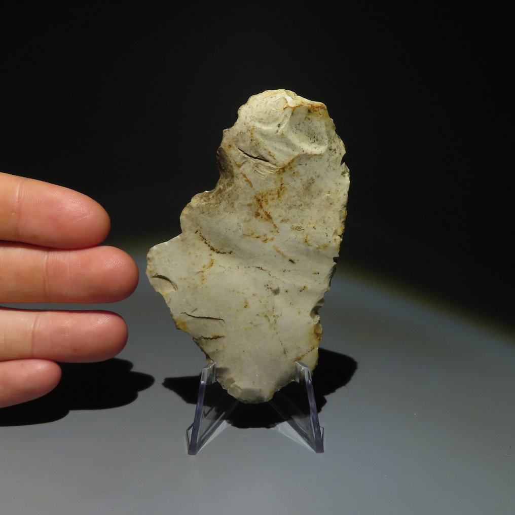 新石器時代 燧石 新石器时代燧石工具。米歇尔斯贝格文化（在比利时蒙斯的斯皮恩斯发现）。新石器时代  (沒有保留價) #4.3