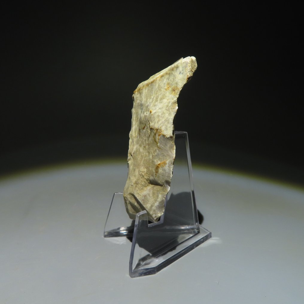 新石器時代 燧石 燧石工具。Michelsberg文化（发现于比利时蒙斯的Spiennes）。新石器时代，大约。  (沒有保留價) #1.0