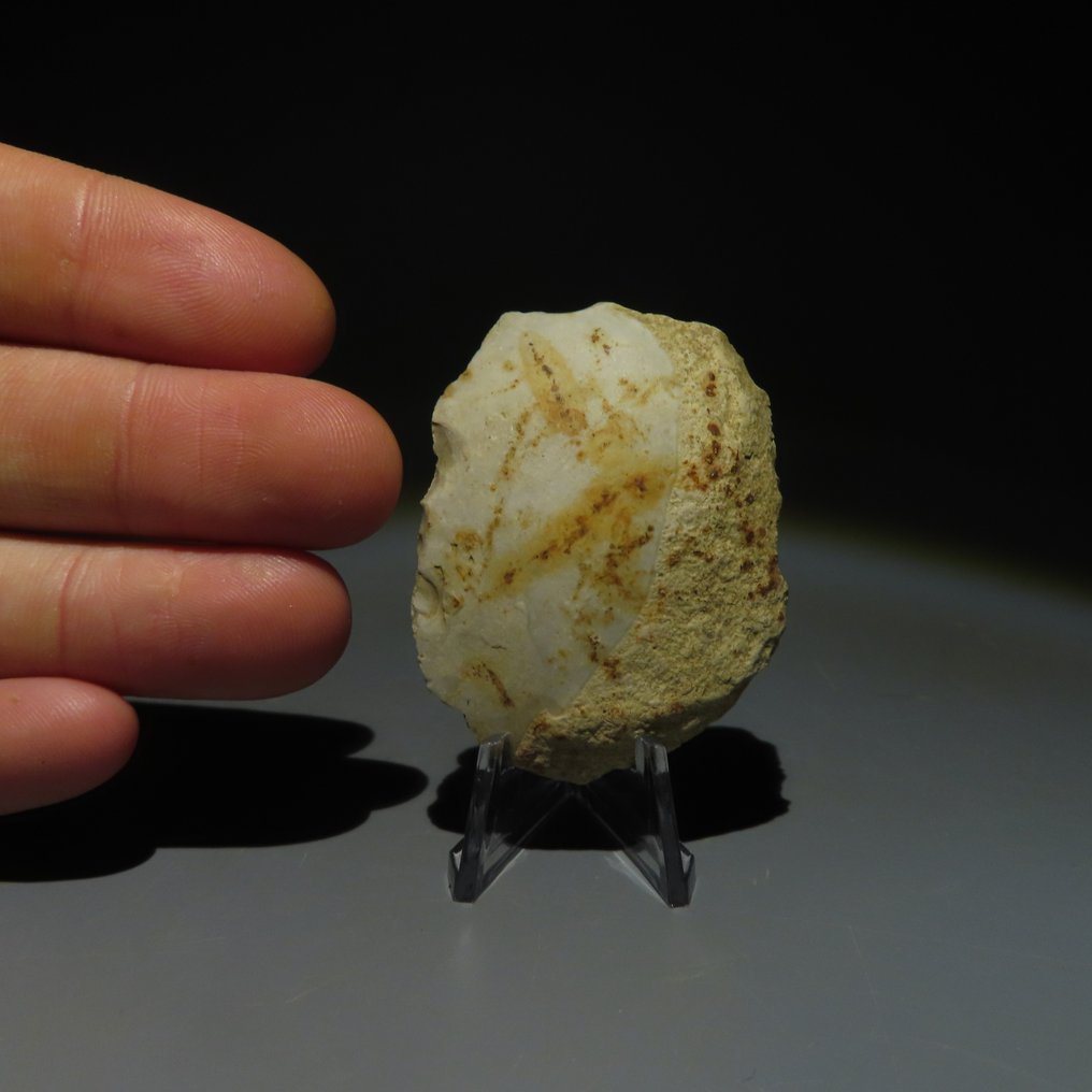 Neolithic Flint Flint tool. Michelsberg Culture (found in Spiennes, Mons, Belgium). Neolithic Period, circa (No reserve price) #4.3