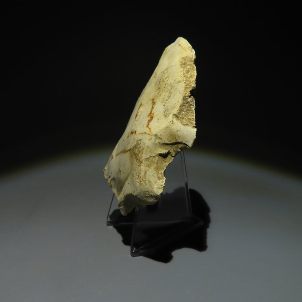 Neolithic Flint Flint tool. Michelsberg Culture (found in Spiennes, Mons, Belgium). Neolithic Period, circa  (No reserve price) #3.2
