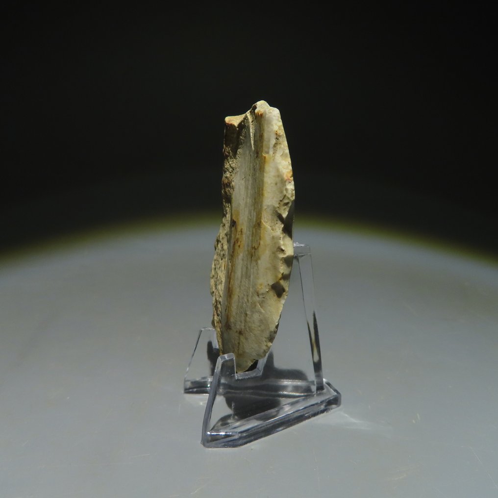 Neolithic Flint Flint tool. Michelsberg Culture (found in Spiennes, Mons, Belgium). Neolithic Period, circa (No reserve price) #1.0