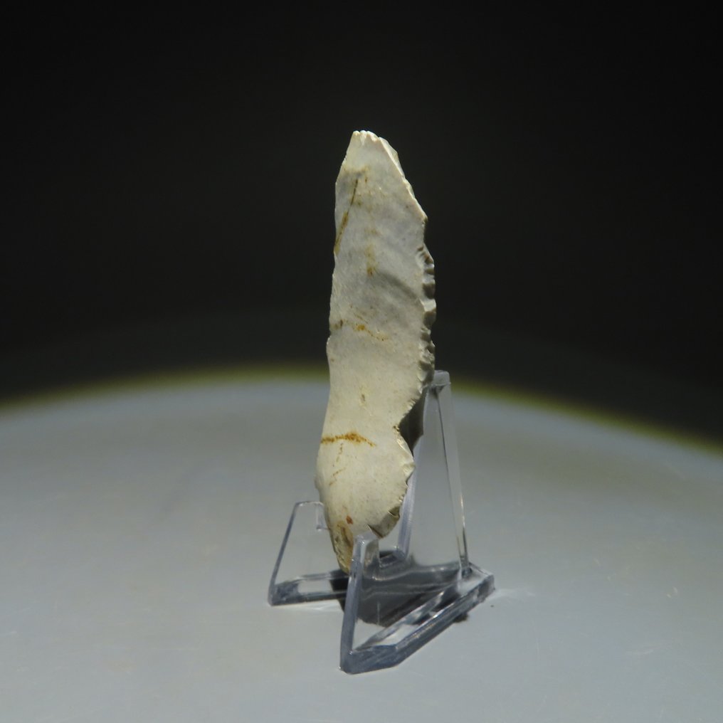 新石器時代 燧石 新石器时代燧石工具。米歇尔斯贝格文化（在比利时蒙斯的斯皮恩斯发现）。新石器时代  (沒有保留價) #3.2