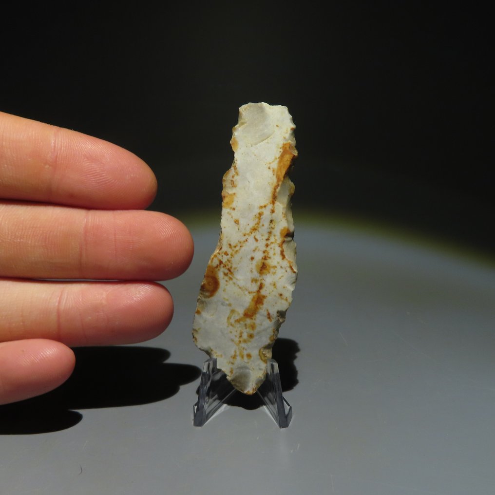 新石器時代 燧石 燧石工具。Michelsberg文化(发现于比利时蒙斯的Spiennes)。新石器时代,大约。 (沒有保留價) #4.3