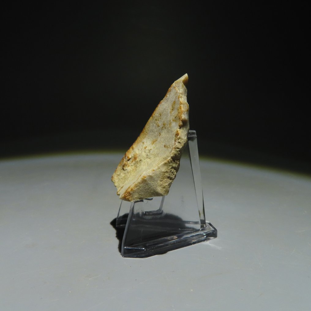 新石器時代 燧石 燧石工具。Michelsberg文化(发现于比利时蒙斯的Spiennes)。新石器时代,大约。 (沒有保留價) #1.0