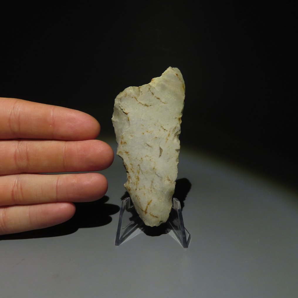 新石器时代 燧石 燧石工具。米歇尔斯堡文化（发现于比利时蒙斯的斯皮恩斯）。新石器时代，大约  (没有保留价) #4.3