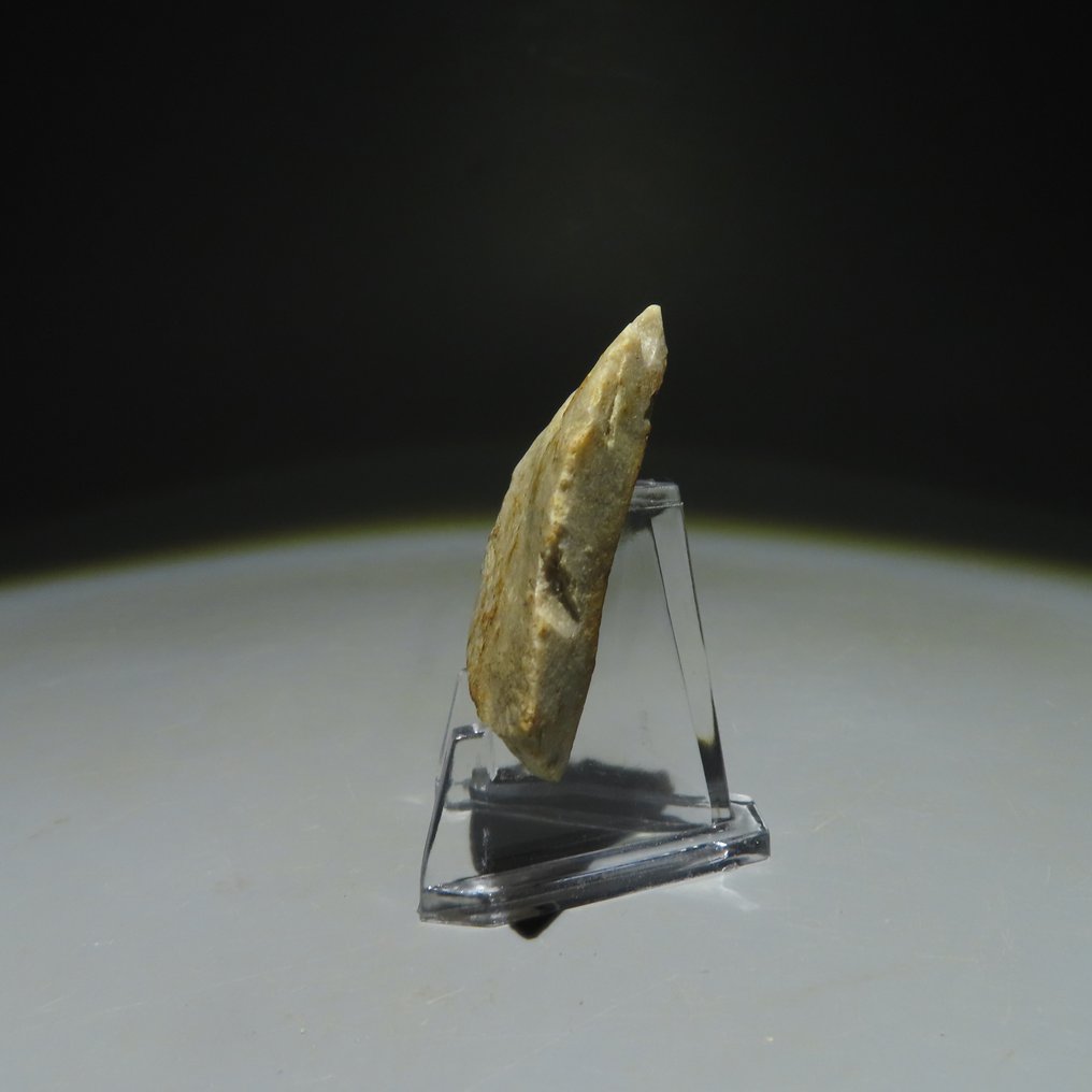 新石器時代 燧石 燧石工具。Michelsberg文化(发现于比利时蒙斯的Spiennes)。新石器时代,大约。 (沒有保留價) #2.1