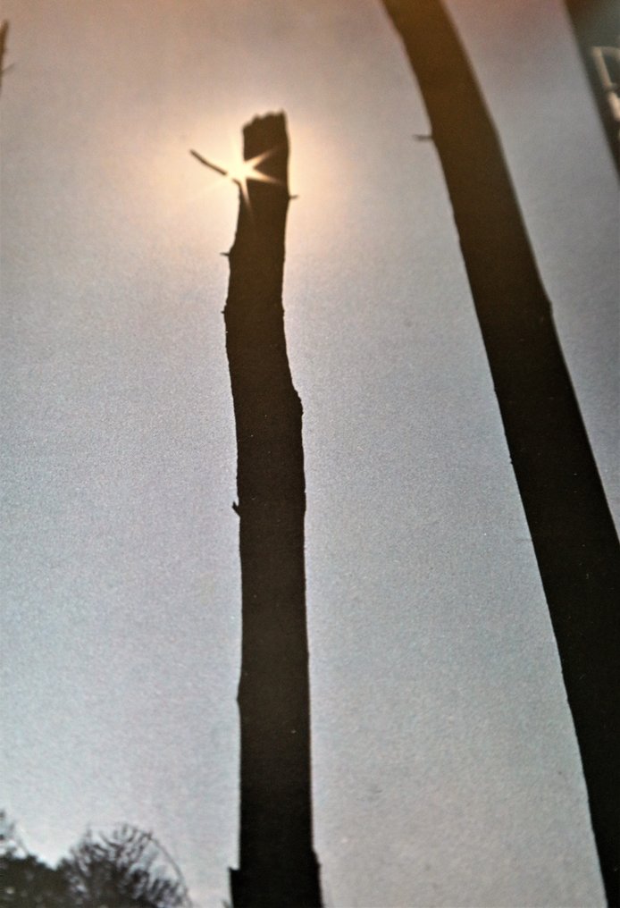 Tangerine Dream - Ricochet/ Japanese 1st Press In Great Condition "Live" From The Experimental Pioneers - LP - Japanese pressing, 1st Pressing - 1976 #3.2