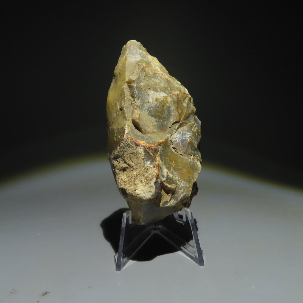 Neolit Krzemień Narzędzie. Kultura Michelsberg (znaleziona w Spiennes, Mons, Belgia). 9,5cm. #1.2
