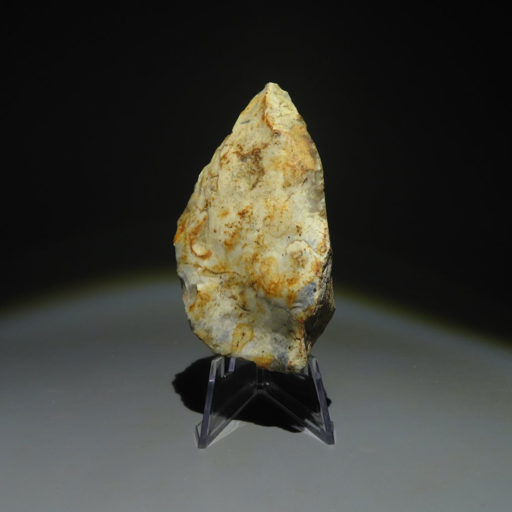 Neolit Krzemień Narzędzie. Kultura Michelsberg (znaleziona w Spiennes, Mons, Belgia). 9,5cm. #1.1