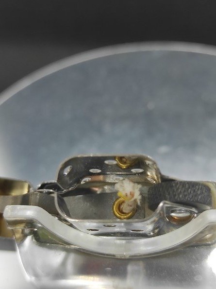 Zippo - Jägermeister - Hulk - No Reserve Price - Pocket lighter - Brass #3.2