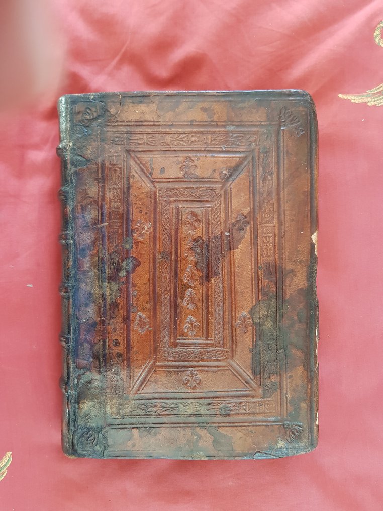 Franciscus Massarius - PLINII..DE NATURALI HISTORIA .- Rare scientific work- Fine binding - 1537 #2.1