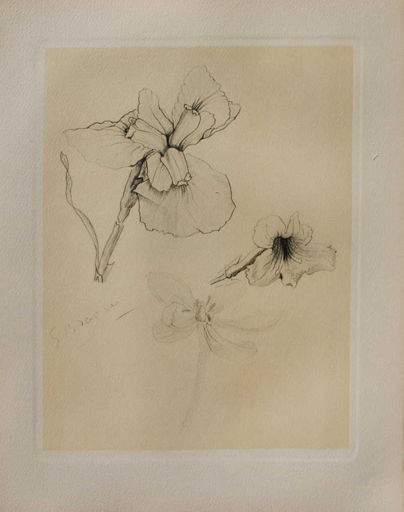 Georges Braque (1882-1963) - Les Iris #1.0