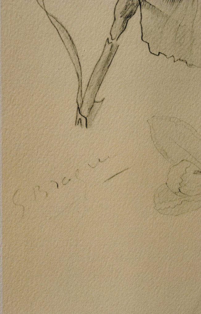 Georges Braque (1882-1963) - Les Iris #1.0