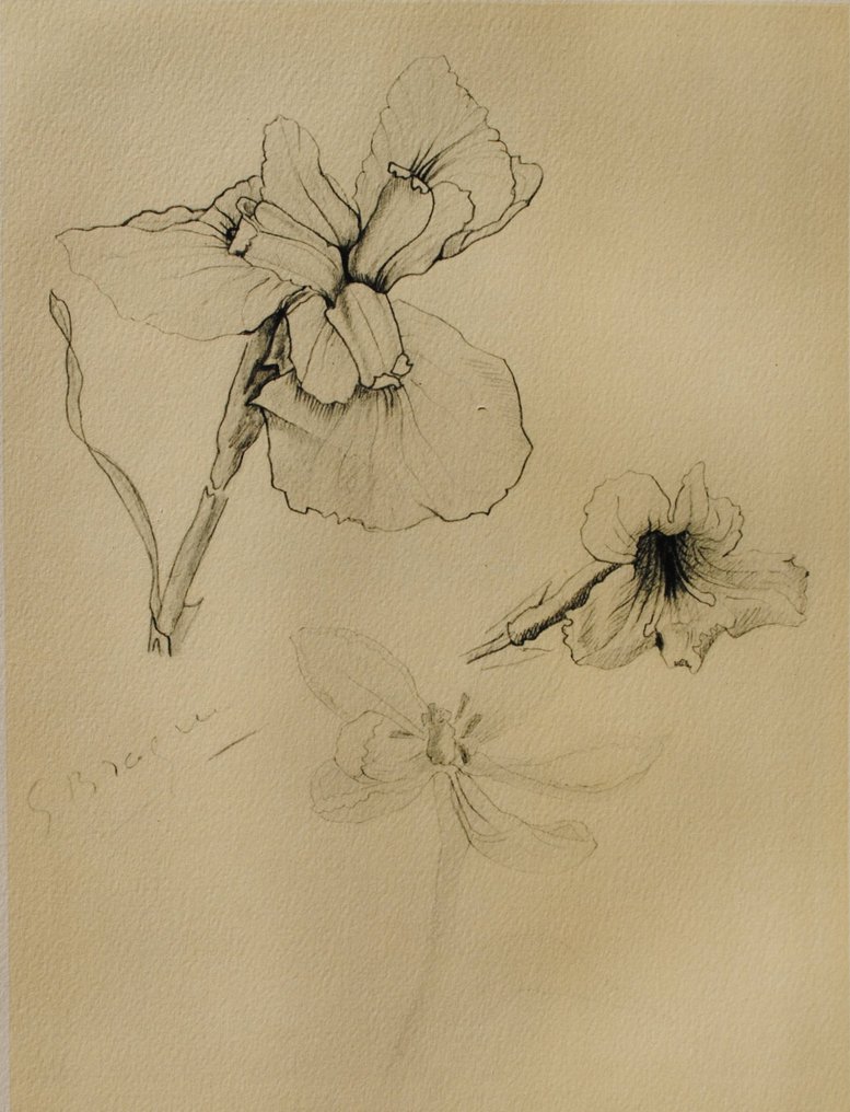 Georges Braque (1882-1963) - Les Iris #2.1