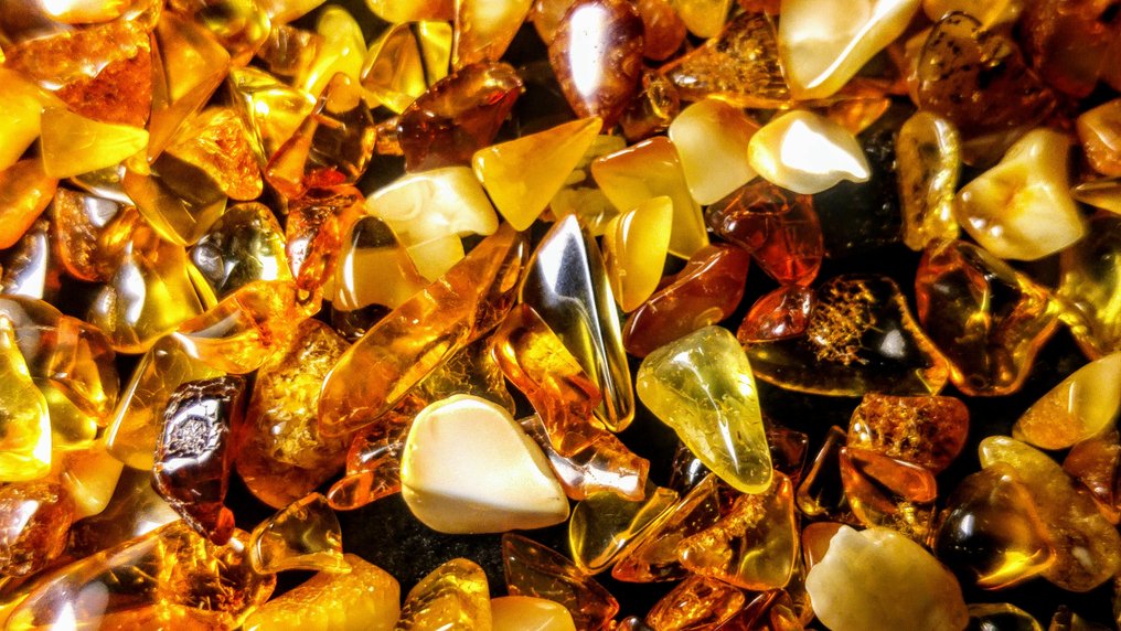 Bernstein - Bernstein - Baltic Amber - 0.5 mm - 0.5 mm #3.2